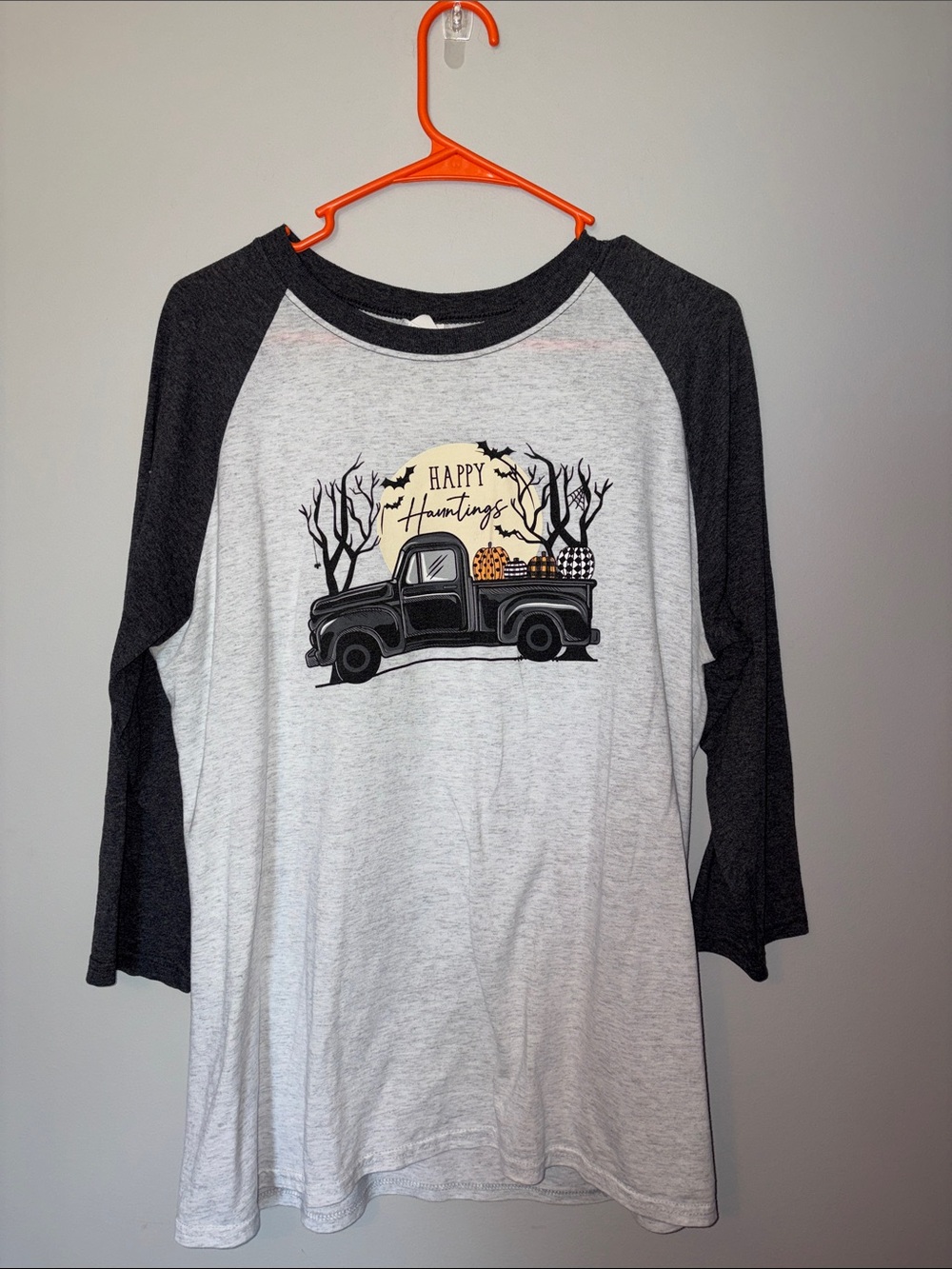 Jerzees Happy Hauntings Raglan Tee - Black & Heather Gray Large